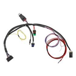 HOLLEY SNIPER 2 EFI MAIN WIRING HARNESS