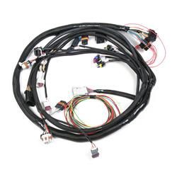 LS2/3/7+ (58X/4X) ENGINE MAIN HARNESS