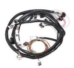 5.0L FORD ENGINE MAIN HARNESS