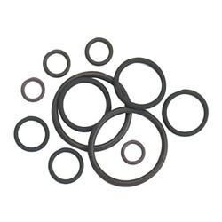 0-RING 1/8 (2) 10 PCS. FITS 491962-