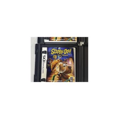 Scooby-Doo! First Frights (Nintendo DS)