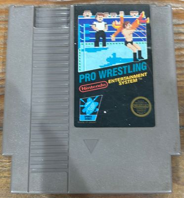 Pro Wrestling NES