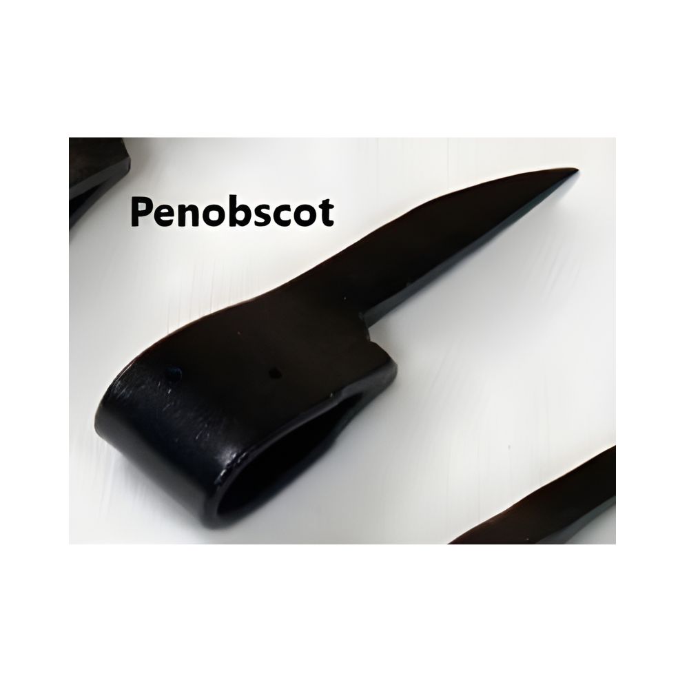 Penobscot Pickeroon Head