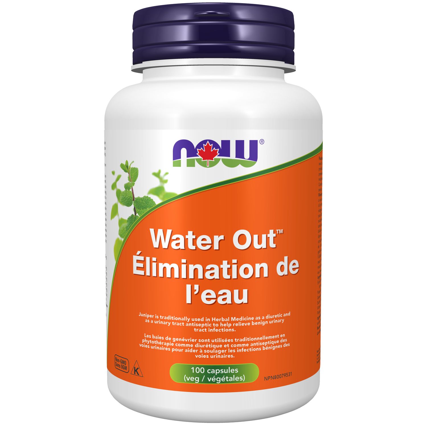 NOW WATER OUT HERBAL DIURETIC 100 CAPS