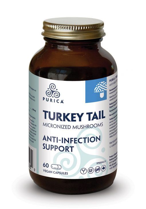 PURICA TURKEY TAIL (CORIOLUS) - (500MG) 60 CAPS