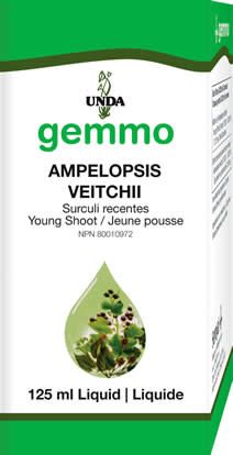 GEMMO AMPELOPSIS VEITCHII 125ml