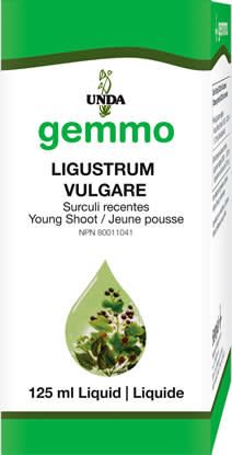 GEMMO ILEX AQUIFOLIUM 125ML