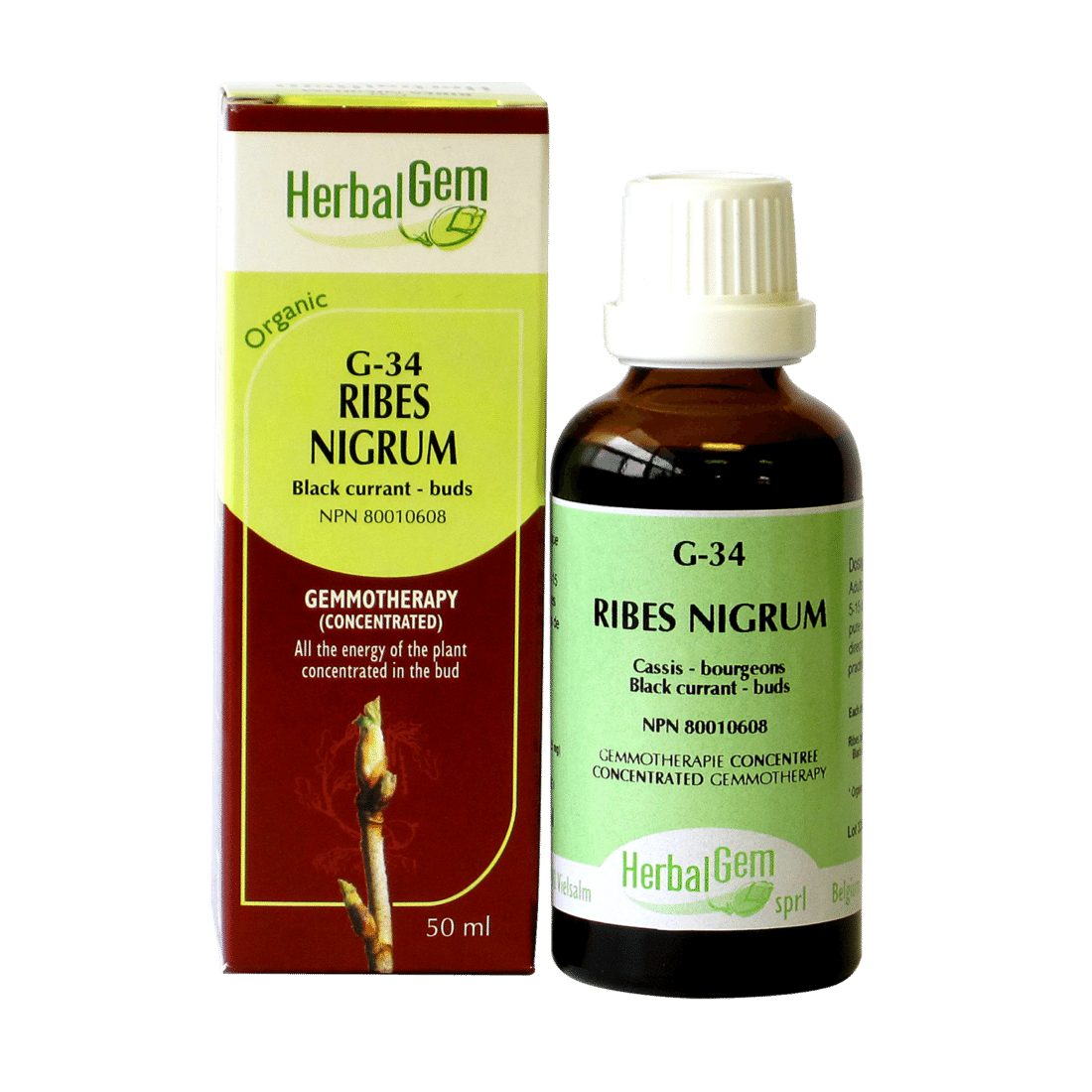 HERBALGEM RIBES NIGRUM (G34) 30ML