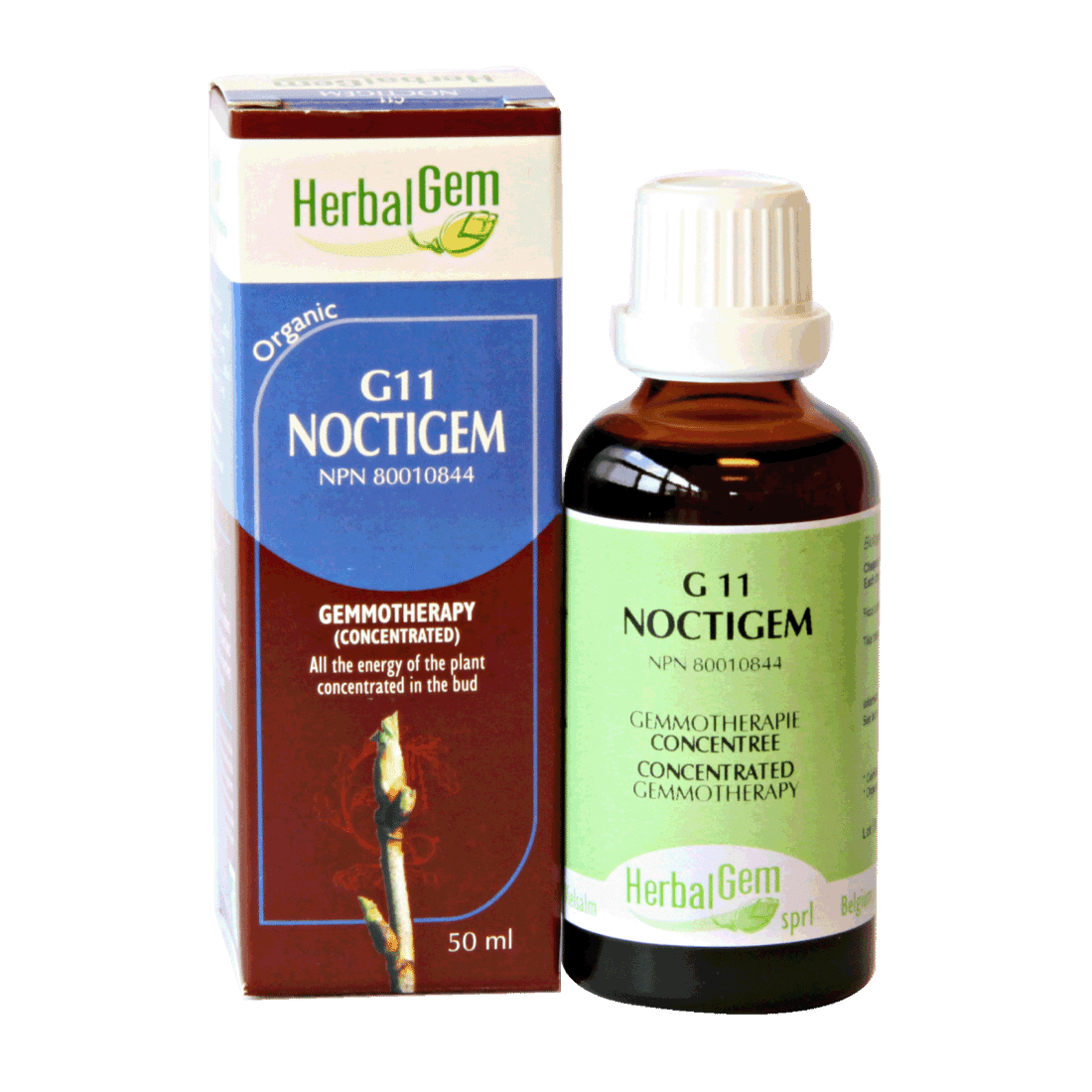 HERBALGEM NOCTIGEM (G11) 15ML