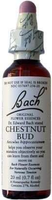 BACH FLOWER CHESTNUT BUD 20ML