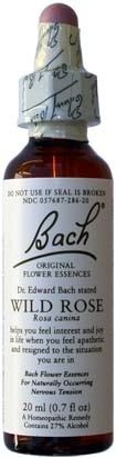 BACH FLOWER WILD ROSE 20ML