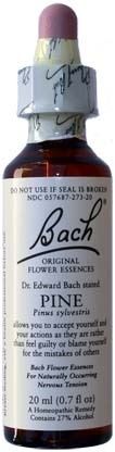 BACH FLOWER PINE 20ML