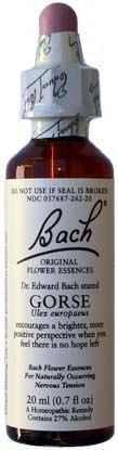 BACH FLOWER GORSE 20ML