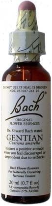 BACH FLOWER GENTIAN 20ML