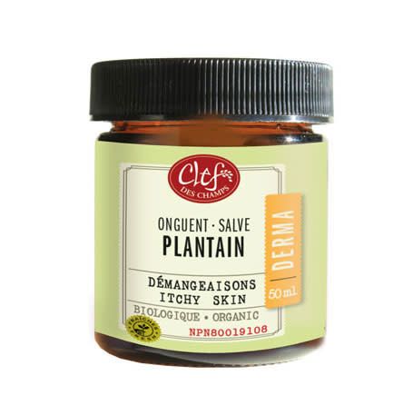 CLEF PLANTAIN SALVE ORGANIC 50ML