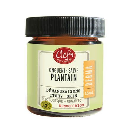 CLEF PLANTAIN SALVE ORGANIC 15ML