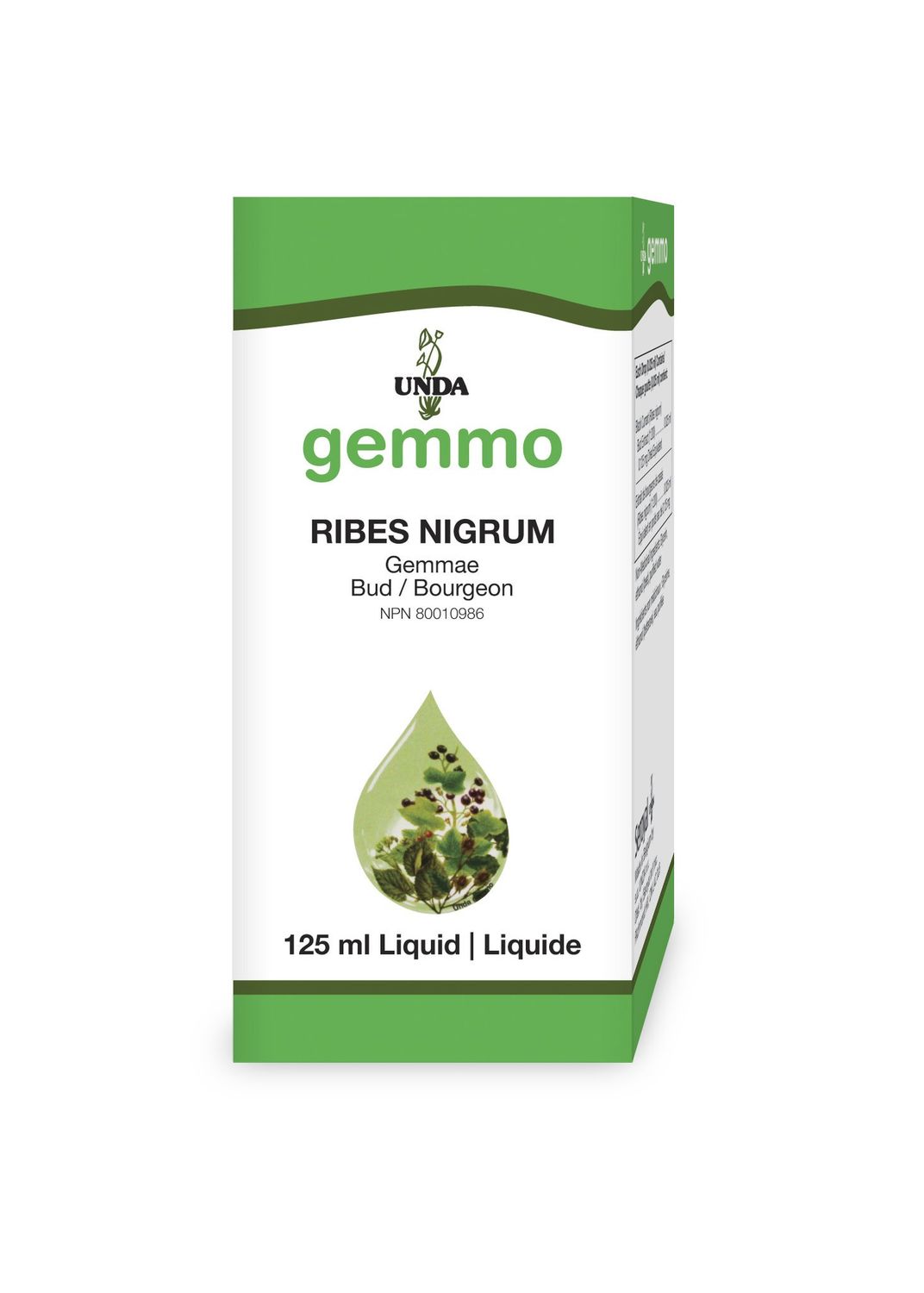 GEMMO RIBES NIGRUM 125ML