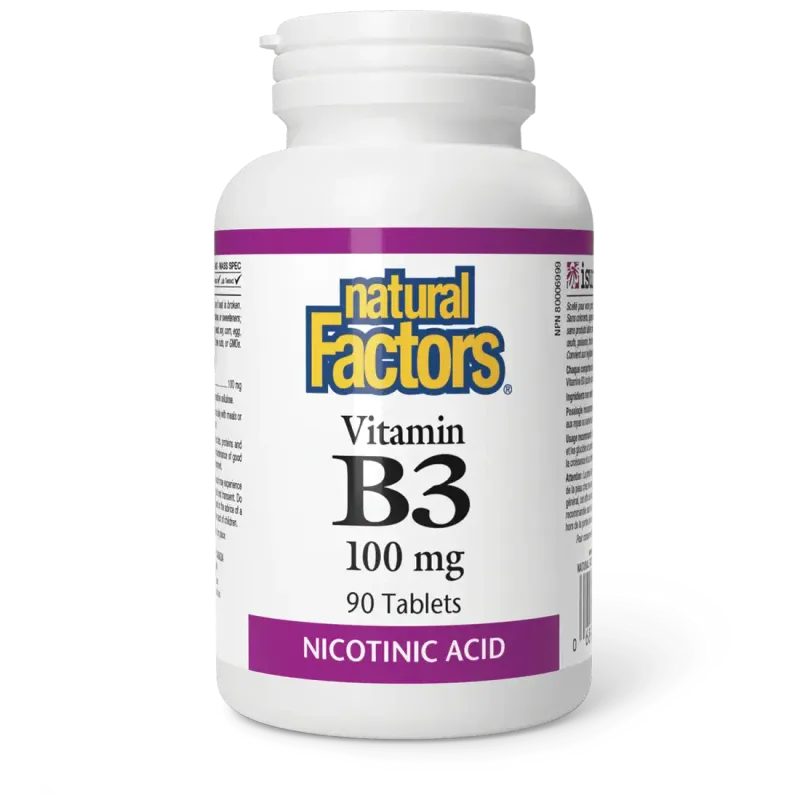 NATURAL FACTORS B3 NIACIN 100MG 90 TABS