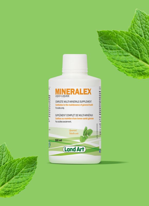 LAND ART MINERALEX 500ML
