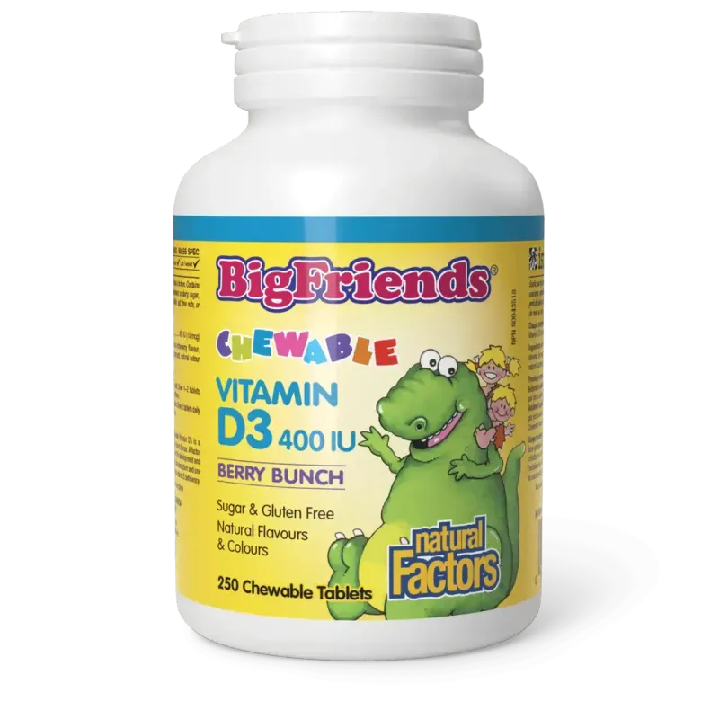 NATURAL FACTORS BIG FRIENDS VITAMIN D3 400 IU 250 CHEWABLE TABS (BERRY BUNCH)