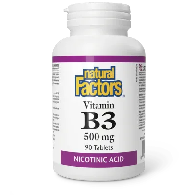 NATURAL FACTORS B3 NIACIN 500MG 90 TABS