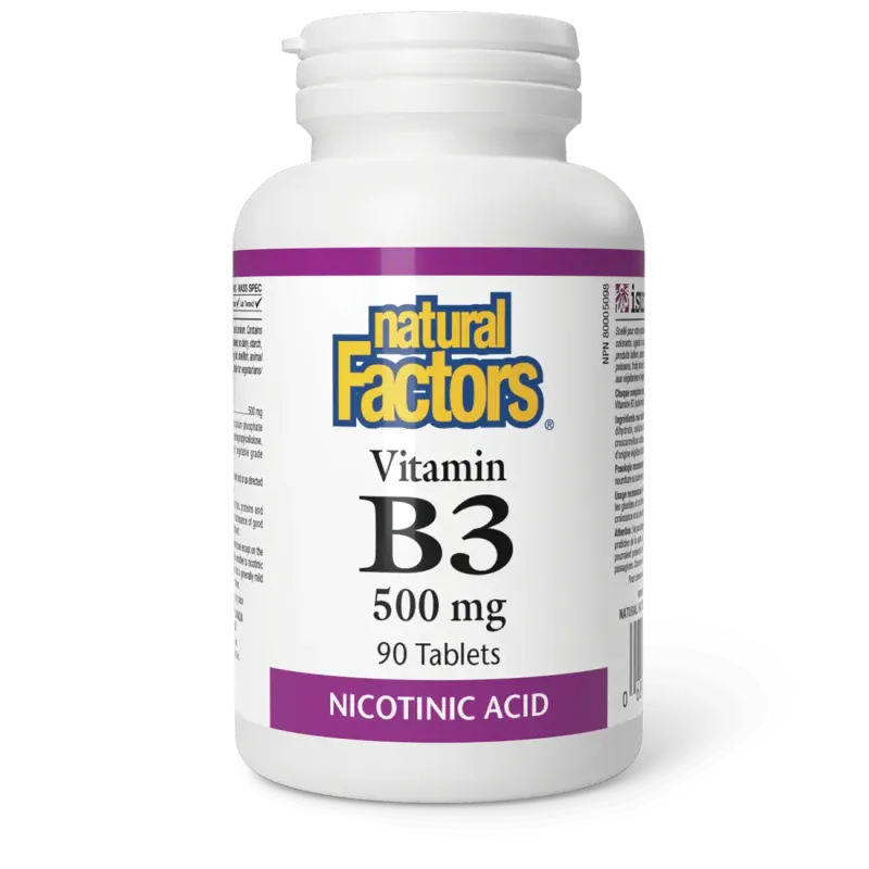 NATURAL FACTORS B3 NIACIN 500MG 90 TABS