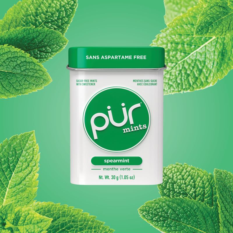 PUR MINTS SPEARMINT TIN 30G