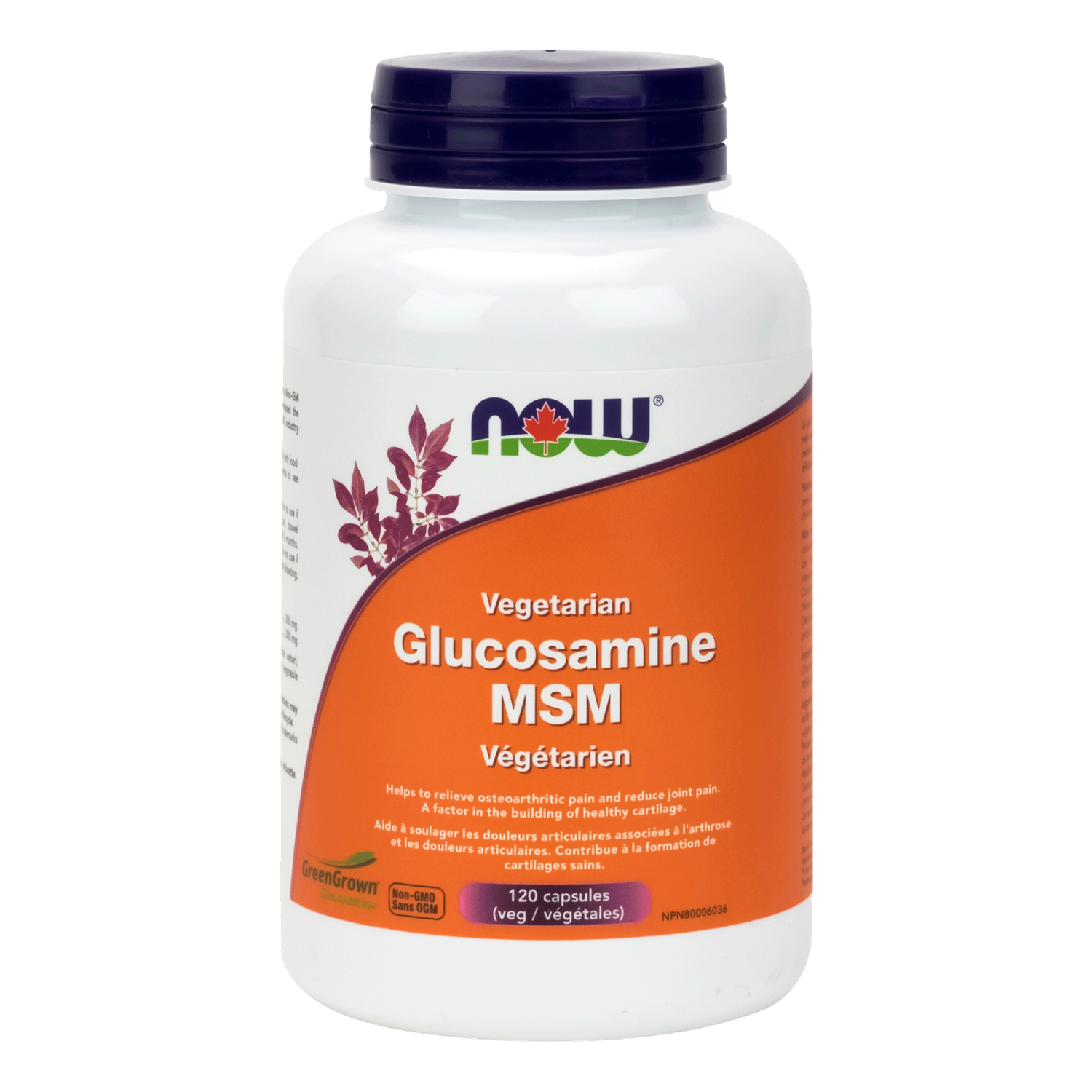 NOW VEGETERIAN GLUCOSAMINE AND MSM 100MG 120 VEGICAPS