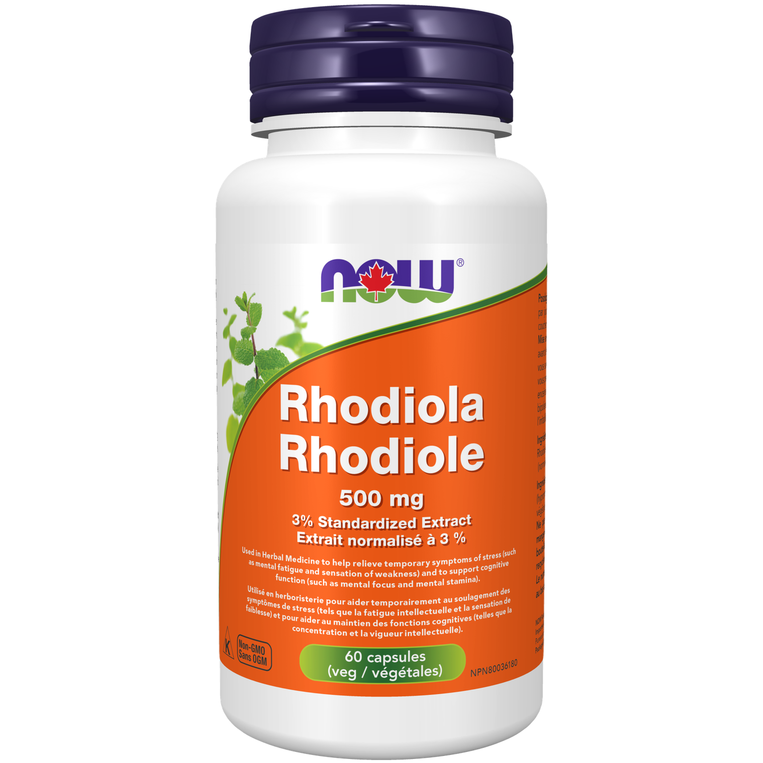 NOW RHODIOLA 500MG 60 VEGICAPS