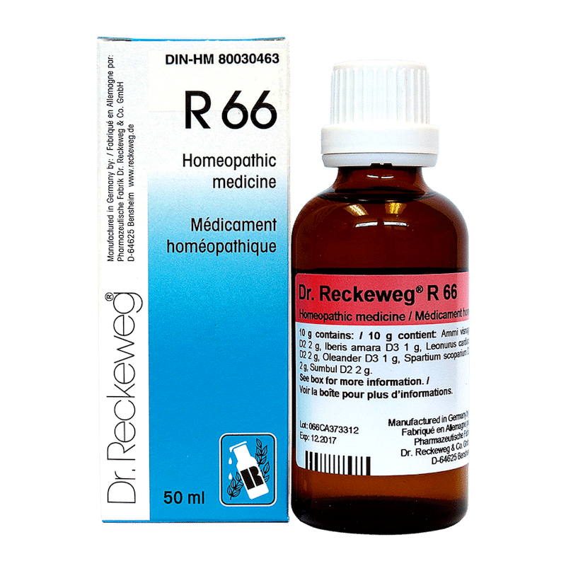 RECKEWEG R66 50ML