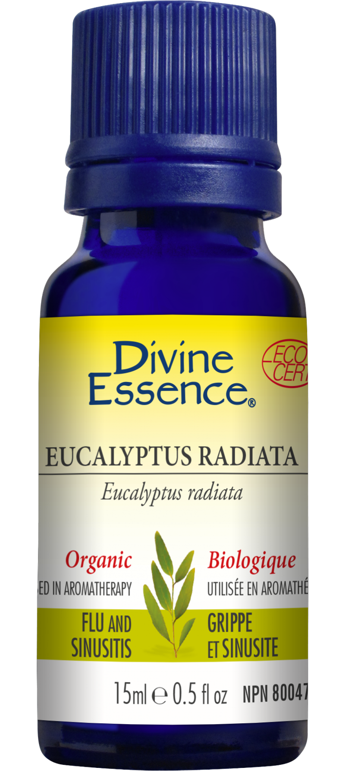 DIVINE ESSENCE ORGANIC EUCALYPTUS RADIATA 30ML