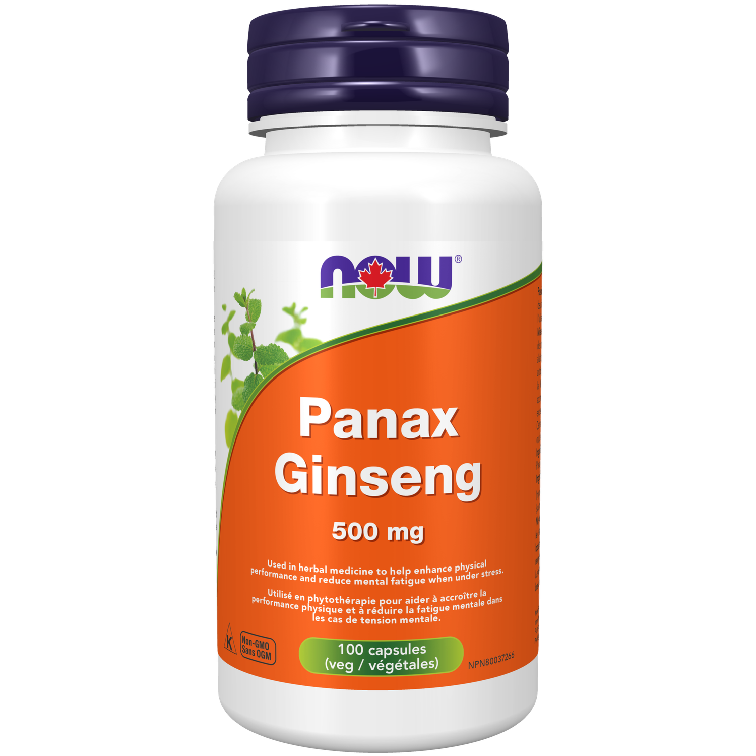 NOW PANAX GINSENG 500MG 100 CAPS