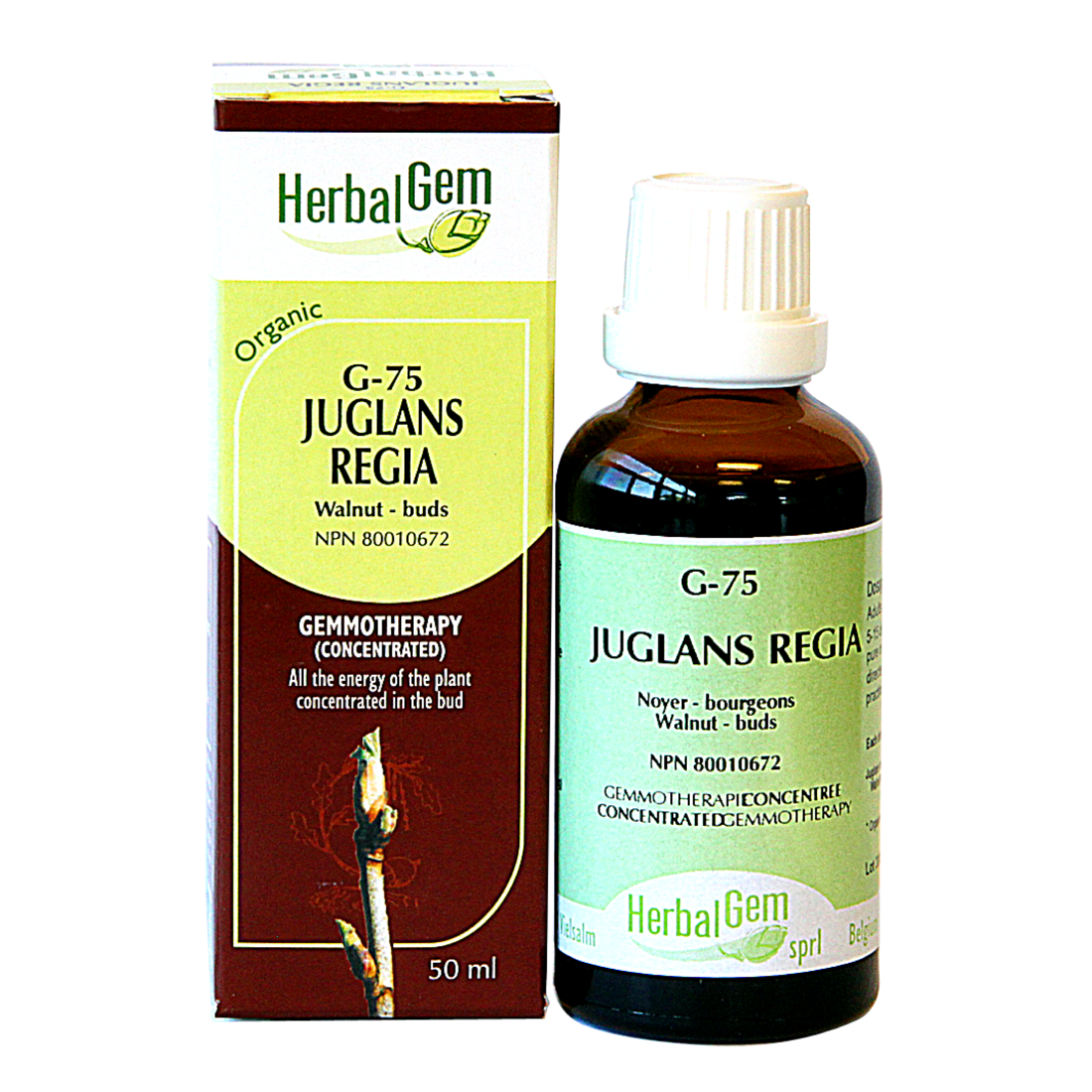 HERBALGEM JUGLANS REGIA (G75) 50ml