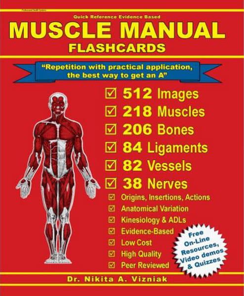 PROHEALTHSYS MUSCLE MANUAL FLASHCARDS