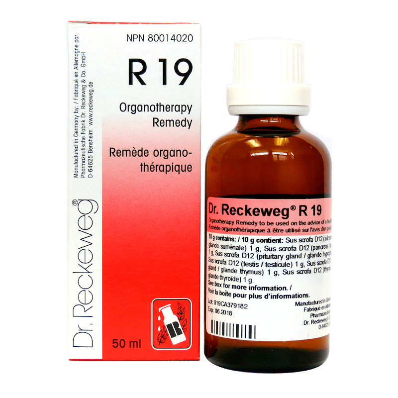 RECKEWEG R19 50ML
