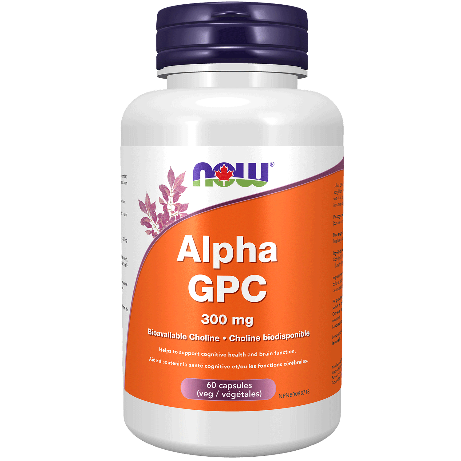 NOW ALPHA GPC (BIOAVAILABLE CHOLINE) 300G 60VCAP