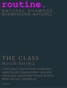ROUTINE THE CLASS SHAMPOO 350ML