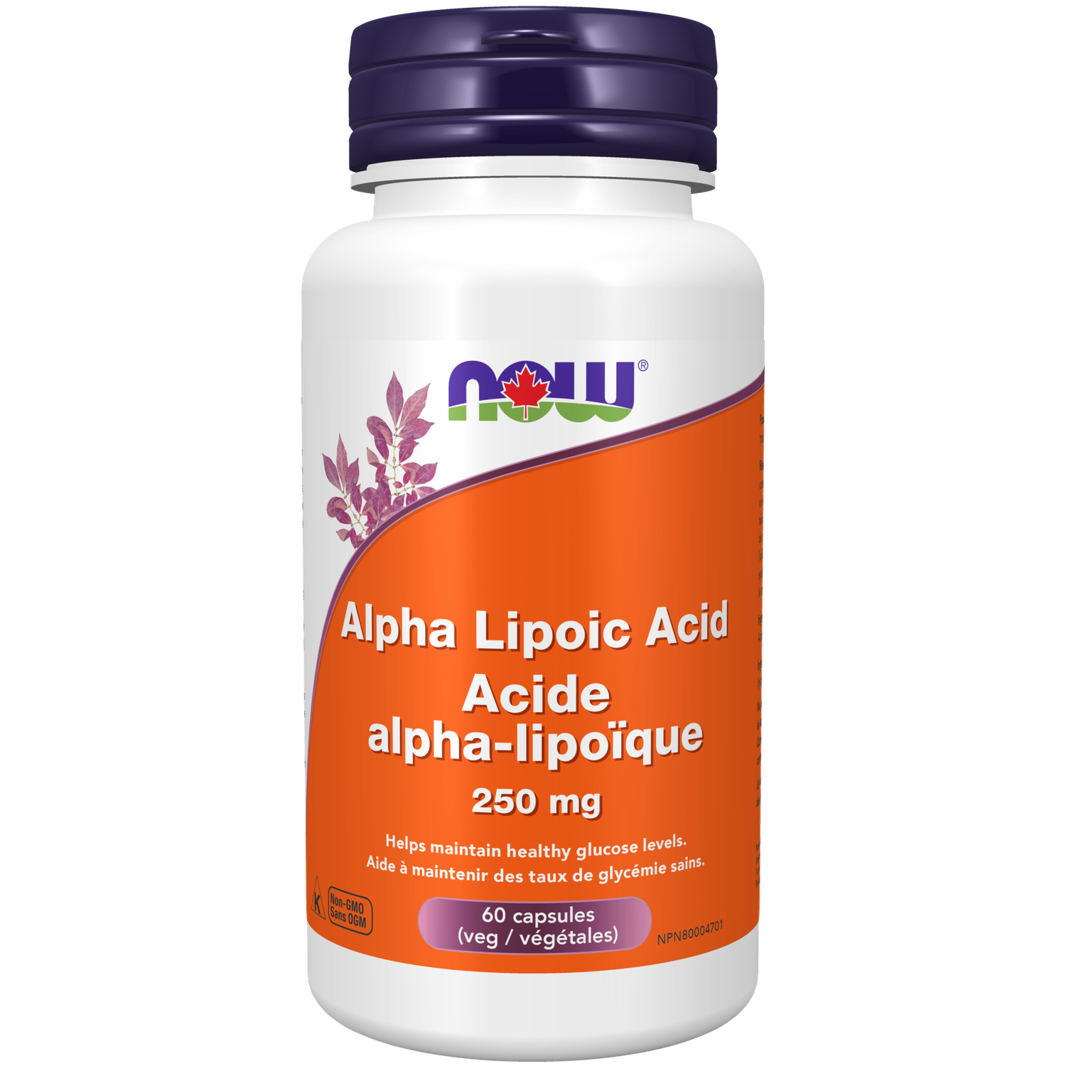 NOW ALPHA LIPOIC ACID (ALA) 250MG 120CAP