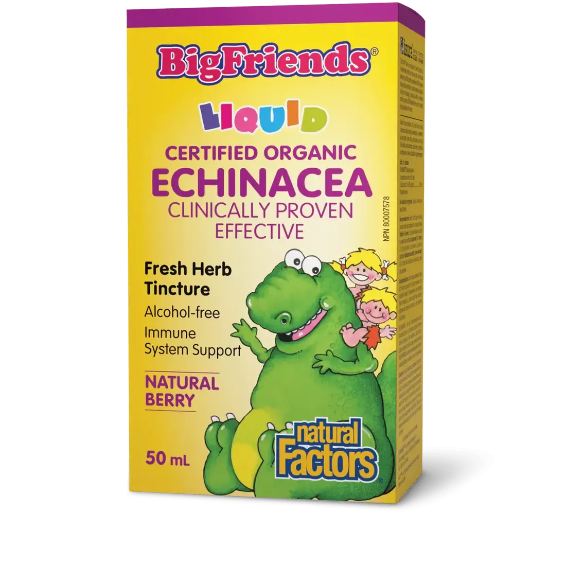NATURAL FACTORS BIG FRIENDS ECHINACEA (ALCOHOL FREE) BERRY 50ML