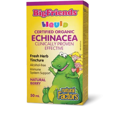 NATURAL FACTORS BIG FRIENDS ECHINACEA (ALCOHOL FREE) BERRY 50ML