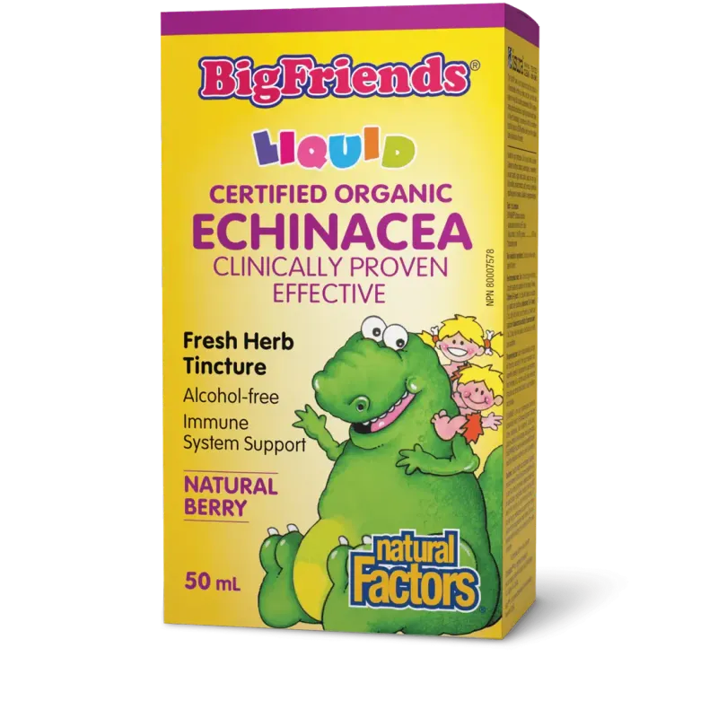 NATURAL FACTORS BIG FRIENDS ECHINACEA (ALCOHOL FREE) BERRY 50ML