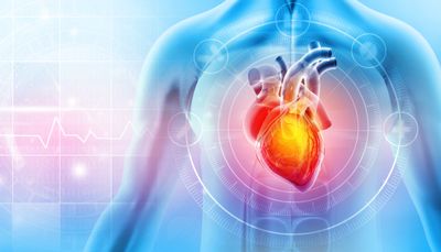 Cardiovascular Health Protocol