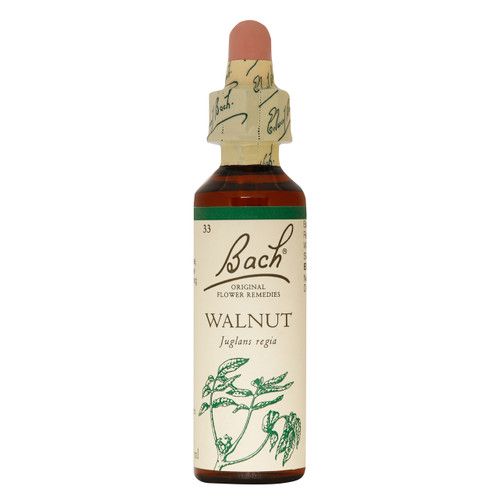 BACH FLOWER WALNUT 20ML