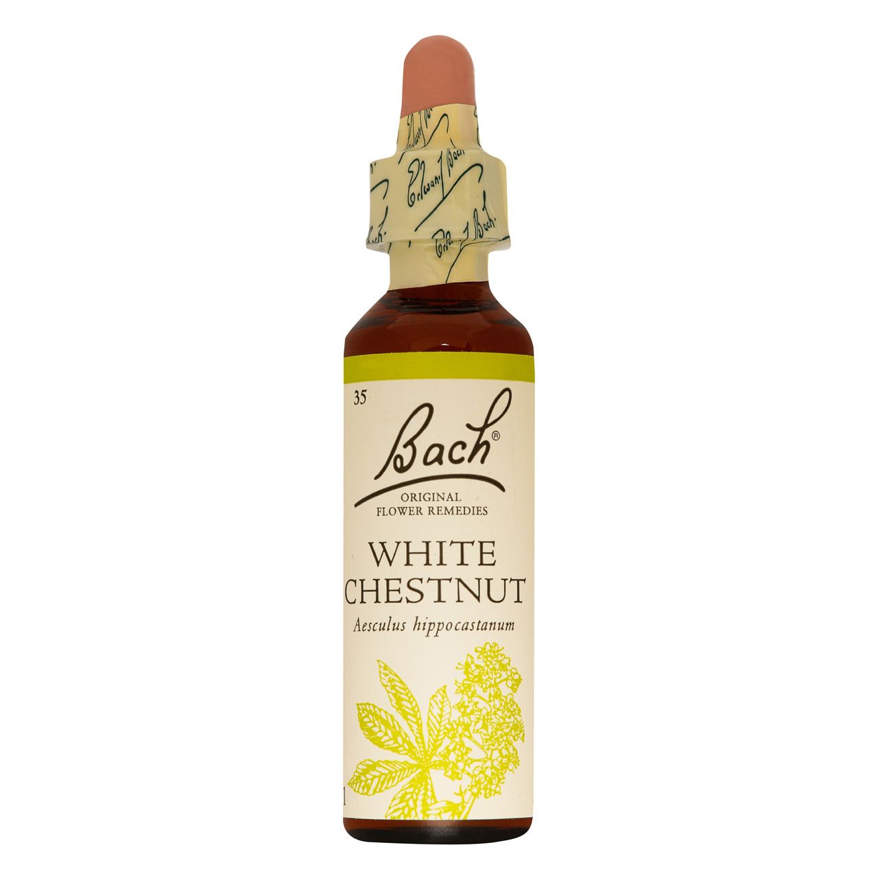 BACH FLOWER WHITE CHESTNUT 20ML