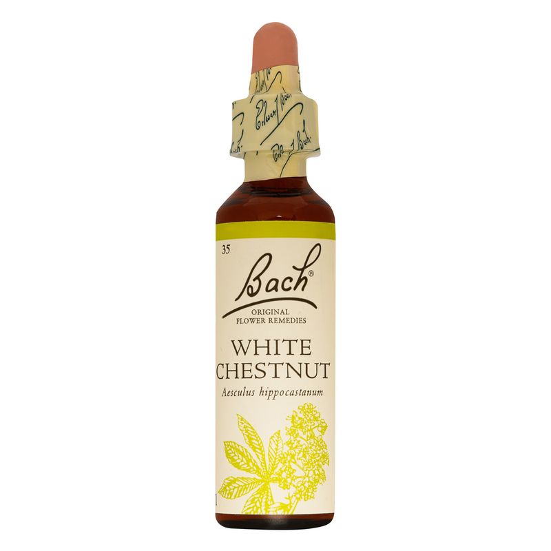 BACH FLOWER WHITE CHESTNUT 20ML