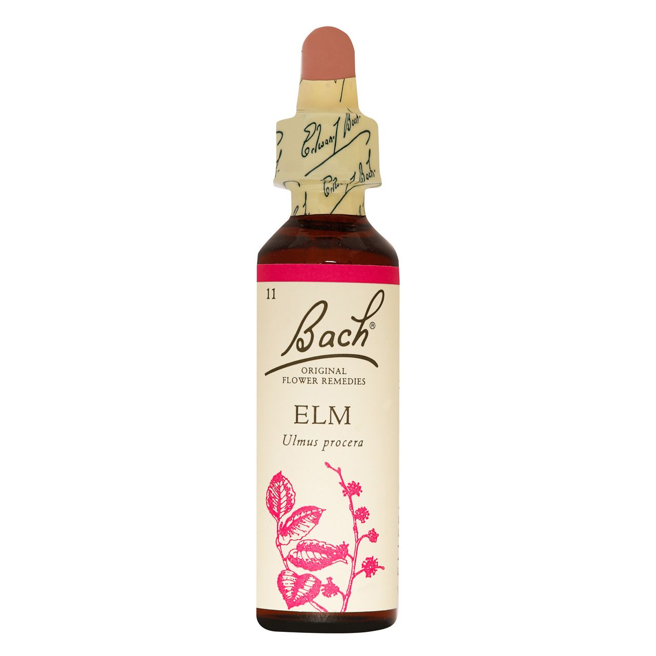 BACH FLOWER ELM 20ML