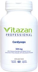 VITAZAN CORDYCEPS 60 CAPS