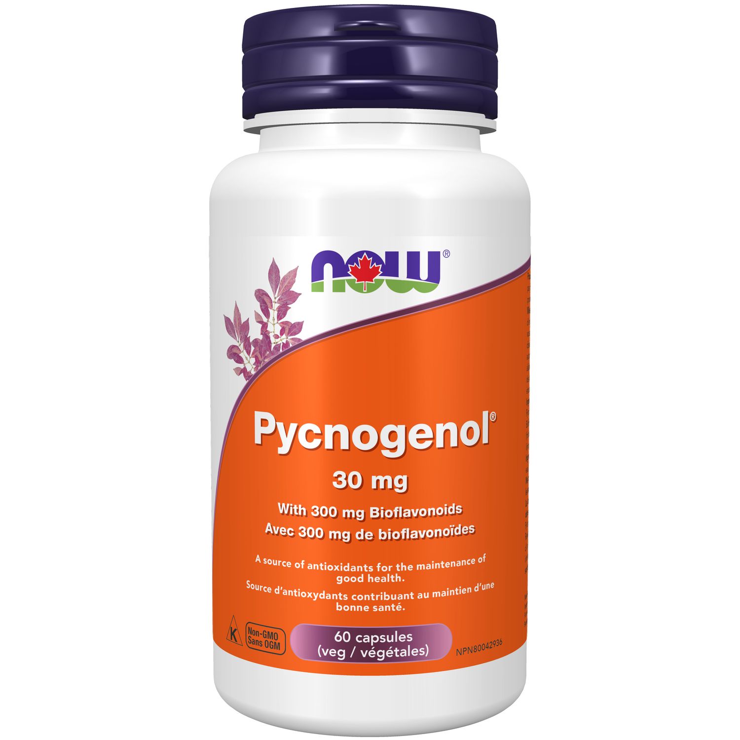 NOW PYCNOGENOL 30MG W/BIOFLAVOS 60VCAPS