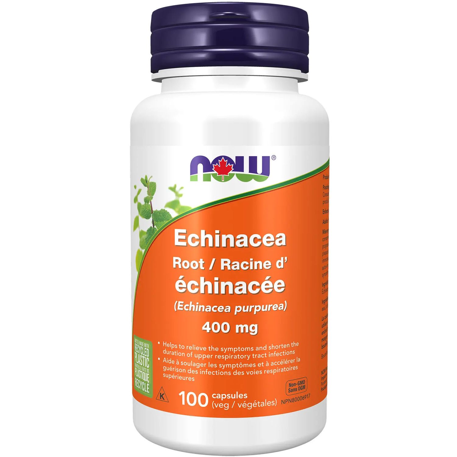 NOW ECHINANCEA 400MG 100VCAP