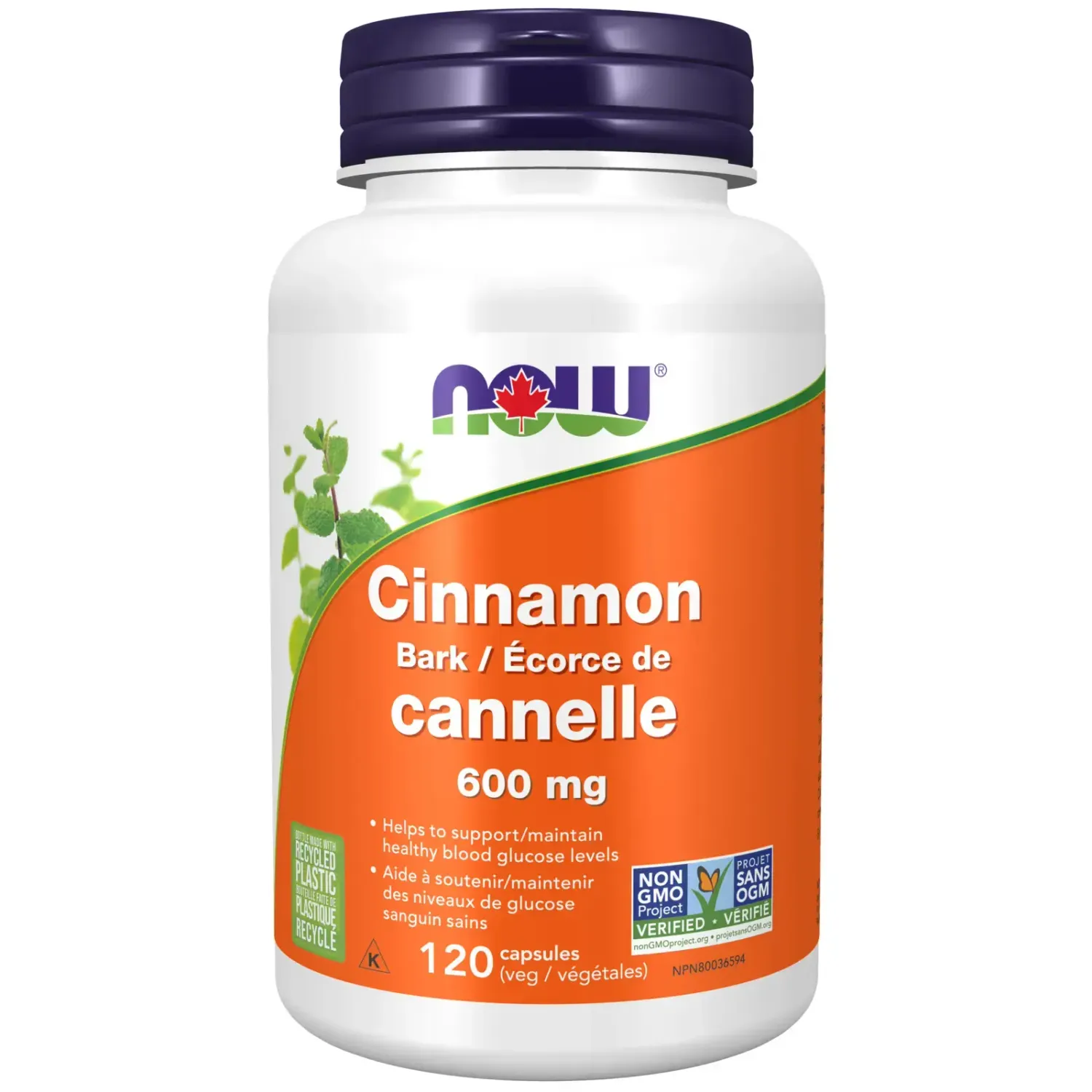 NOW CINNAMON 600MG 120 CAPS